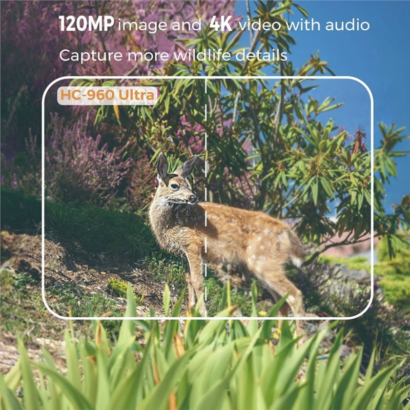 كاميرا FEDI مقاومة للماء بدقة  - مراجعة Hunting Outdoor Camera وسعره