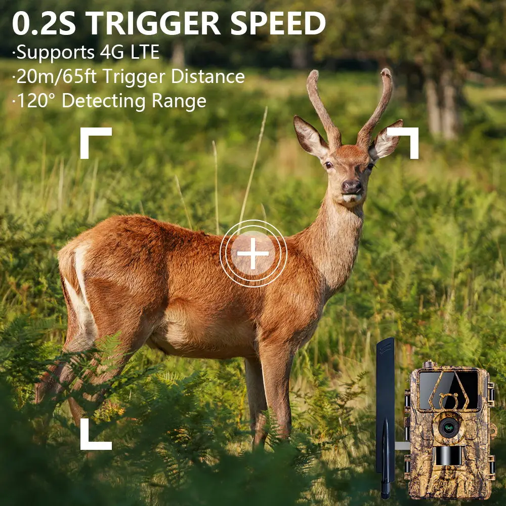 1 قطعة HD8K كاميرا تعمل بالأشع - مراجعة Outdoor Hunting Camera Wifi وسعره