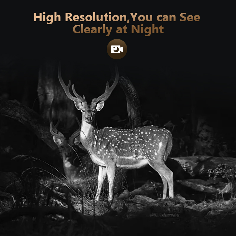 كاميرا لعبة درب للصيد في الحيا - مراجعة Hunting Outdoor Camera وسعره